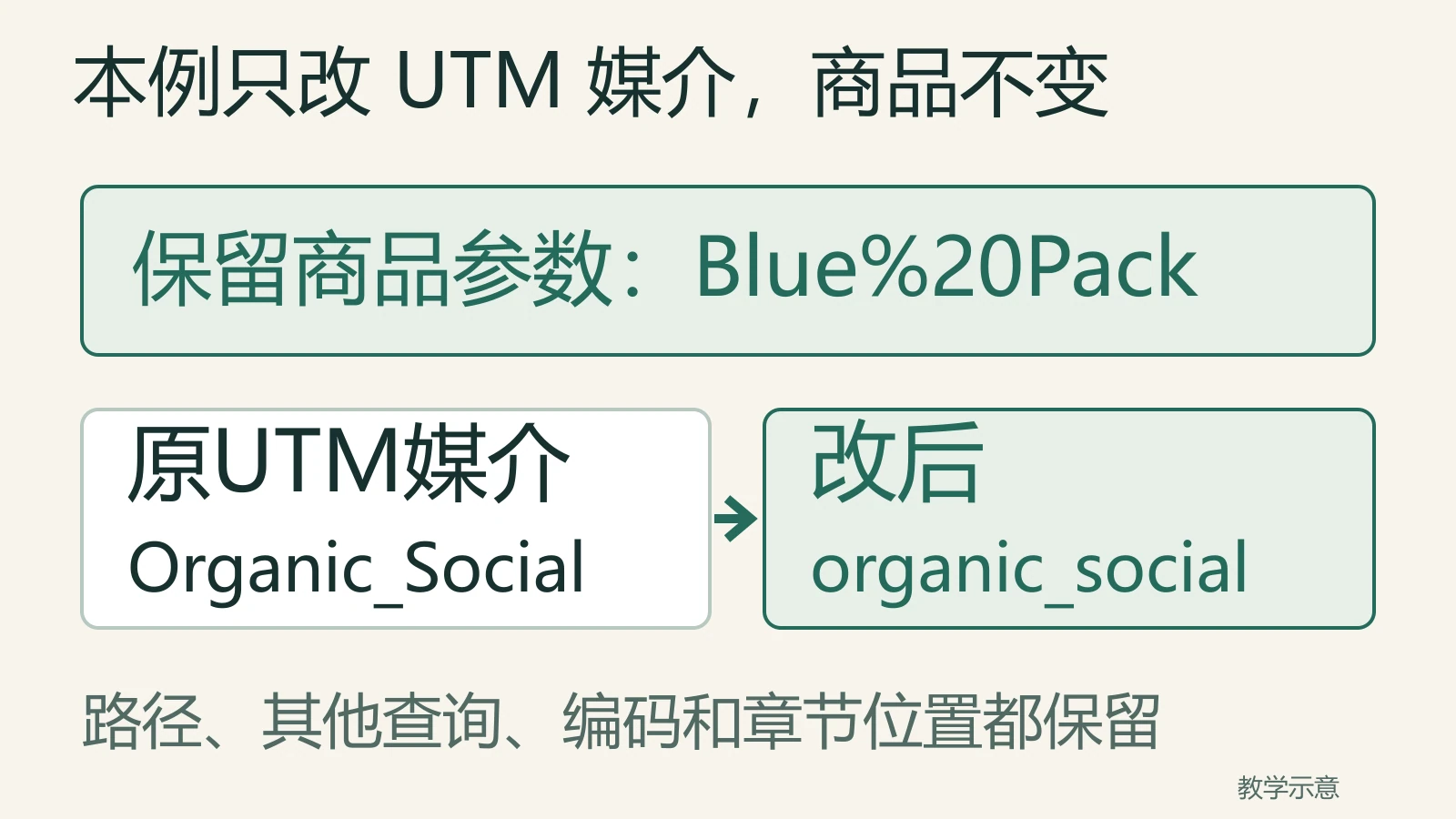 U2保留商品参数中Blue与Pack之间的空格编码，只把UTM媒介Organic_Social改为organic_social，路径其他查询编码和章节保持