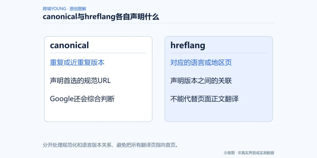 canonical与hreflang各自声明什么